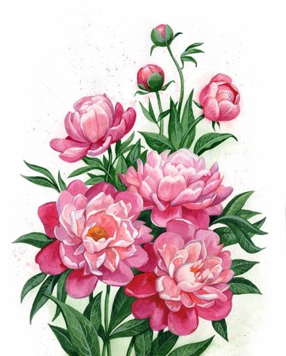 Стих Пион читать для детей онлайн из коллекции про природу цветы