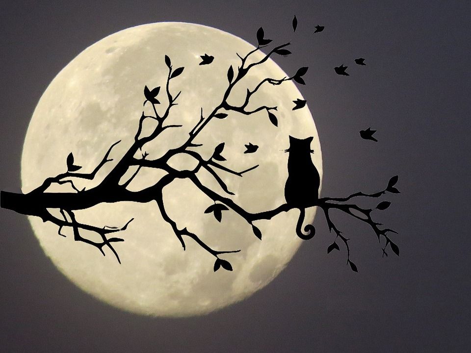 Свидание с луной слушать музыку на ночь детям