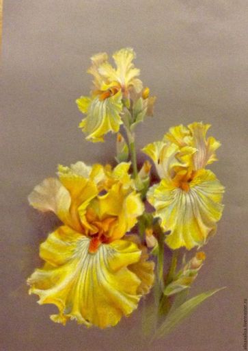 Стих Жёлтые ирисы читать для детей онлайн из коллекции про природу цветы