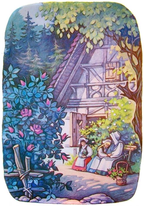 жила бедная вдова