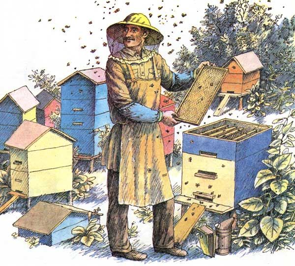 Но шляпу с сеткой надевает