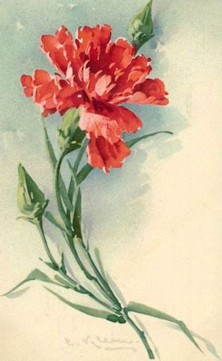Стих Гвоздика читать для детей онлайн из коллекции про природу цветы