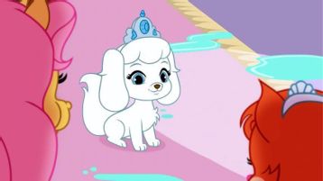 Королевские питомцы