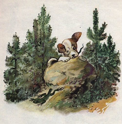 Ящерка извернулась и хвост в зубах у щенка оставила