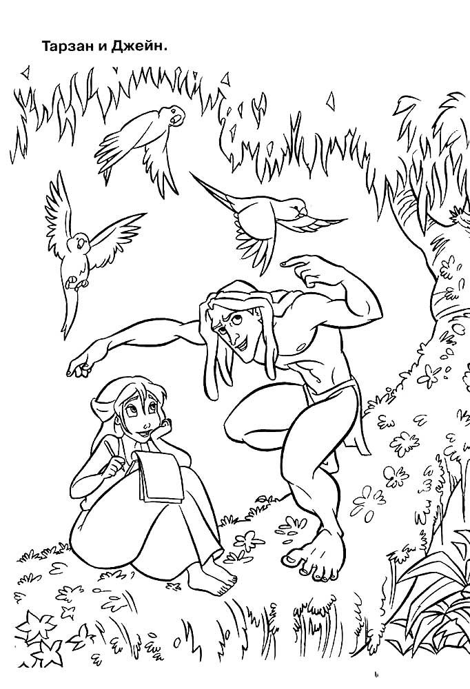 Раскраска из мультфильма Тарзан для детей скачать или ...