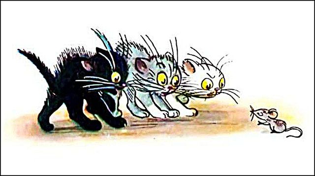 Котята увидели мышь