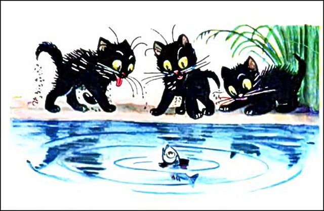 Три чёрных котёнка увидели в пруду рыбу