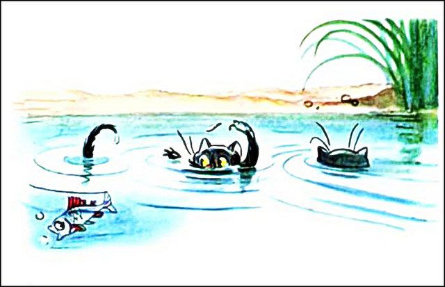 Рыба уплыла от котят