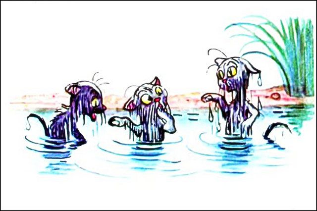 из воды вынырнули три мокрых котёнка