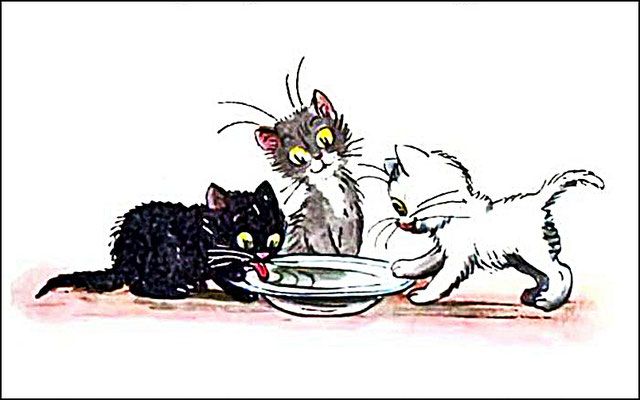 По дороге они обсохли и стали, как были: чёрный, серый и белый