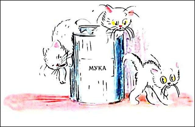 из банки вылезли три белых котёнка