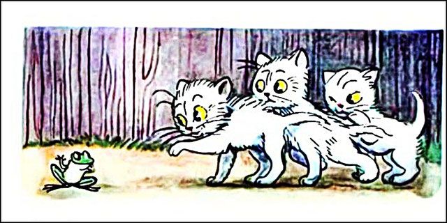 Три белых котёнка увидели на дворе лягушку