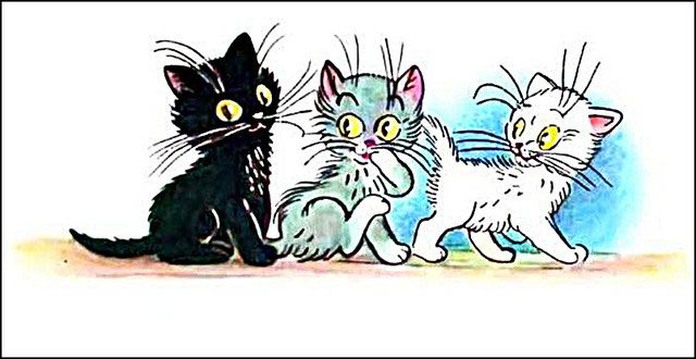Три котёнка - чёрный, серый и белый