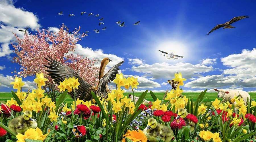 Стих Цвет весны Вадима Косовицкого из коллекции про времена года весна