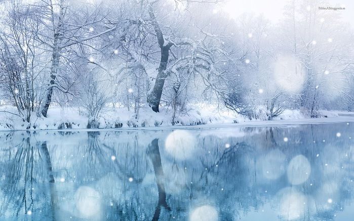 Стих Всюду снег Александра Бродского из коллекции про времена года зима