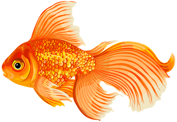 Стих Золотая рыбка читать для детей онлайн из коллекции про животных и рыб
